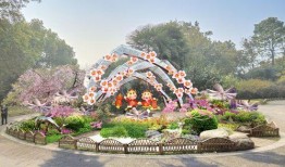 无锡景区爆料事件最新,惊现“隐形消费”疑云，游客权益引关注